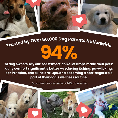 Yeast Infection Relief Drops