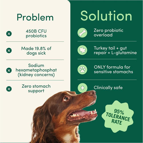 Bad Breath & Teeth Care Powder