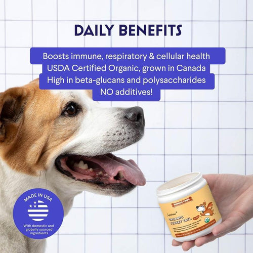 Dog Immunity Powder