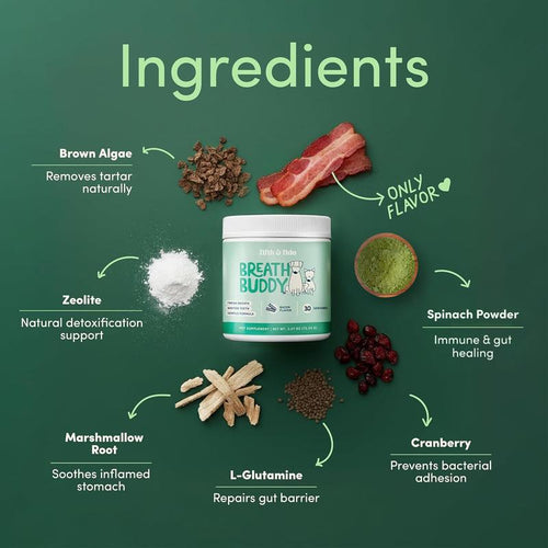 Bad Breath & Teeth Care Powder